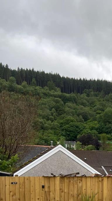 Brynhyfryd Cottage Aberaman Экстерьер фото